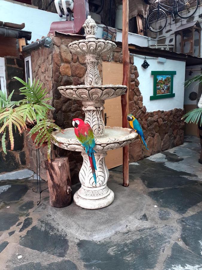 La Piedra Viva-grupos 2*